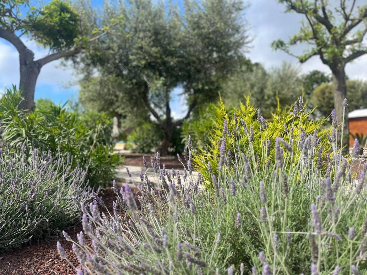 Ferienwohnung Maison Dei Trulli Locorotondo Exterior foto